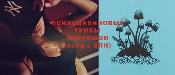 индика Протвино