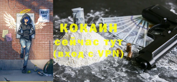 индика Протвино