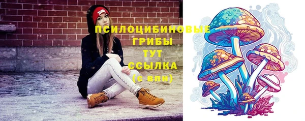 крисы Арсеньев
