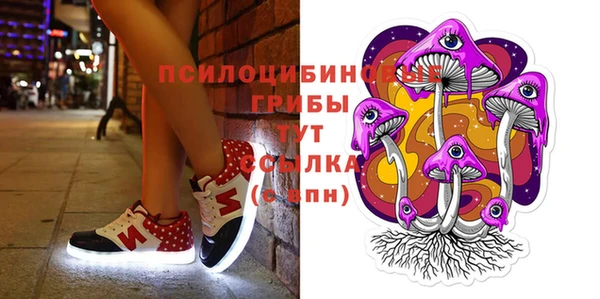 крисы Арсеньев