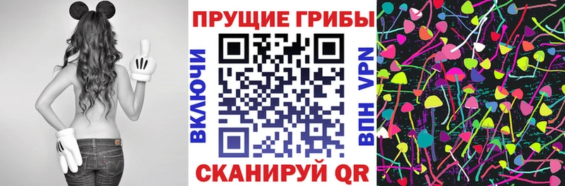 где найти Исилькуль kraken рабочий сайт Галлюциногенные грибы прущие грибы